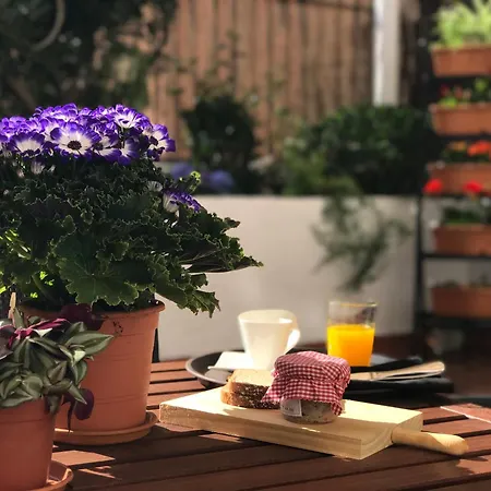 דירה Eixample Modernista *